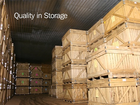 Potatoes Stored in Tote Boxes